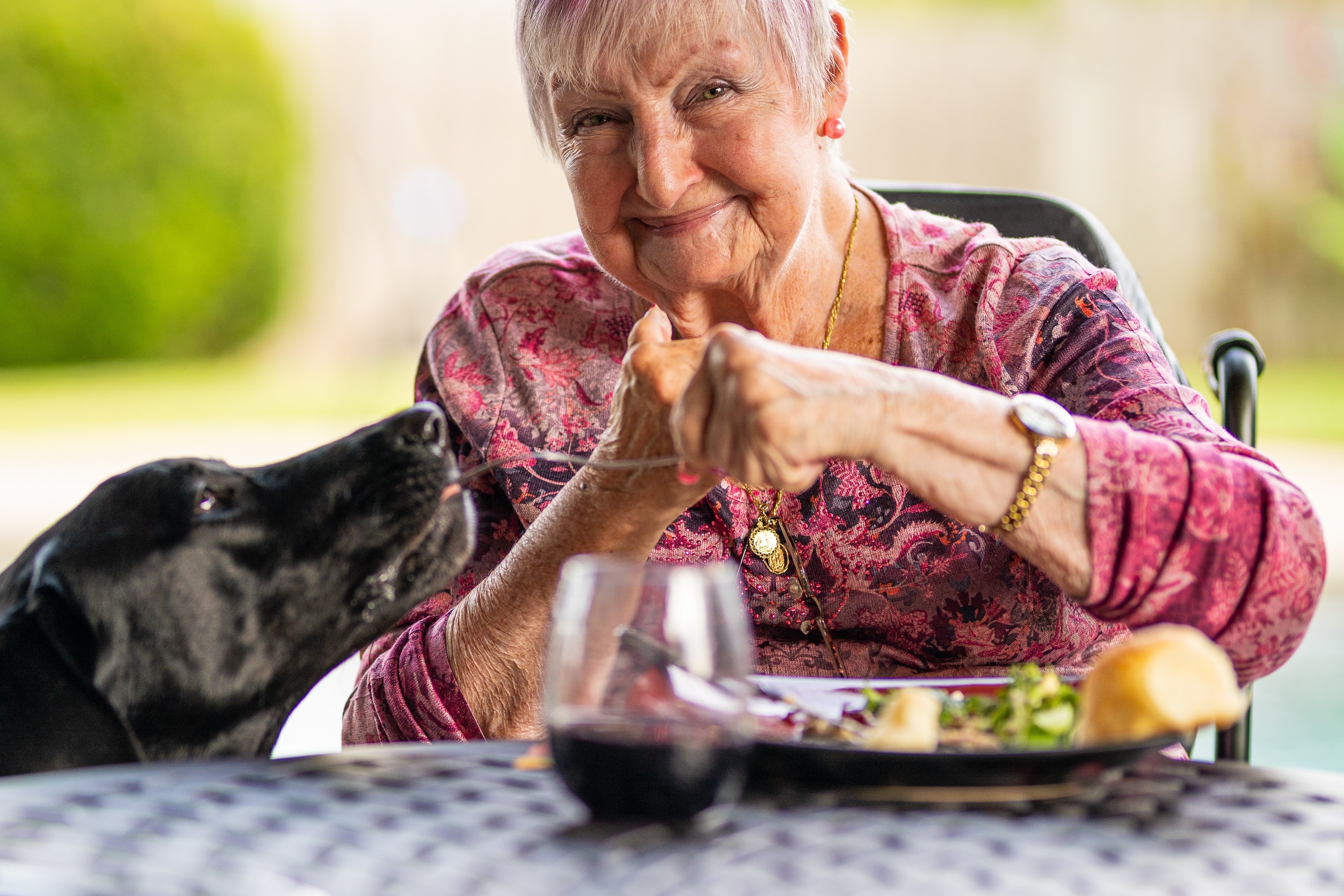 lady feeding dog from the table