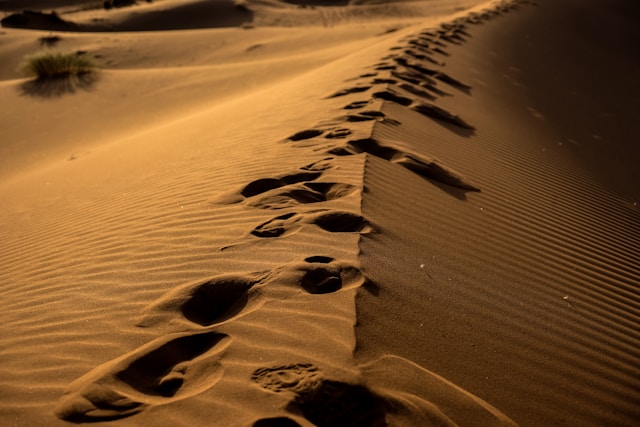 An image of ancient footsteps in sand (symbolizing journey, covenant walk).