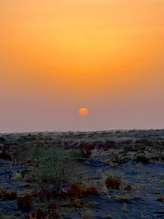 solitary desert landscape under a glowing sunrise
